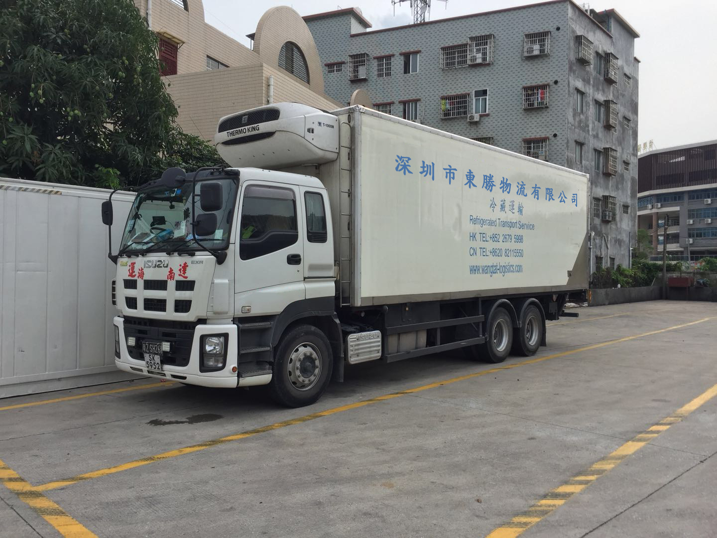 中港冷藏車,香港冷凍柜,香港冷鏈物流專線運輸案例圖